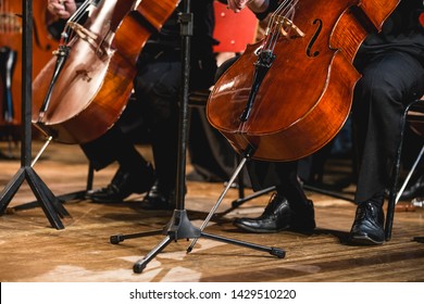 Cello Instruments In Small Orchestra. 