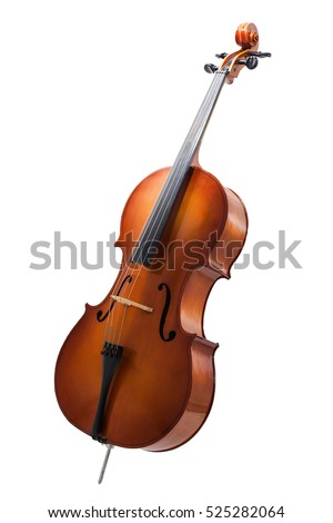 cello isolated on wihte
