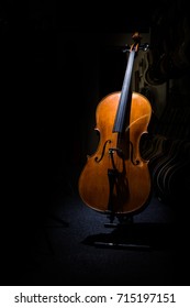 Cello On A Dark Background ...