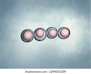 Cells division process, Cell divides into two cells