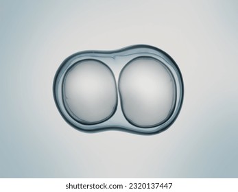 Cells division process, Cell divides into two cells
