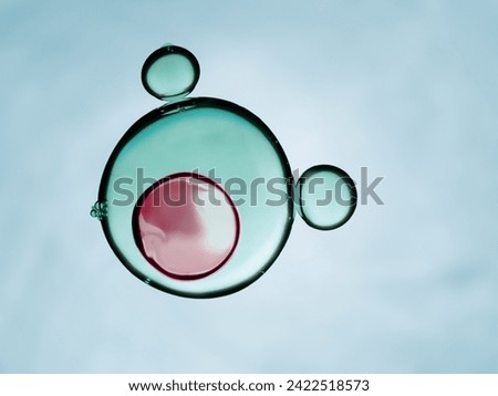 Cells division process, Cell divides into two cells	