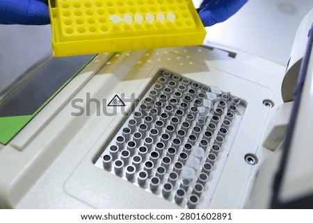 Cells with installed Eppendorf tubes and a rack with samples in the hands of a scientist.