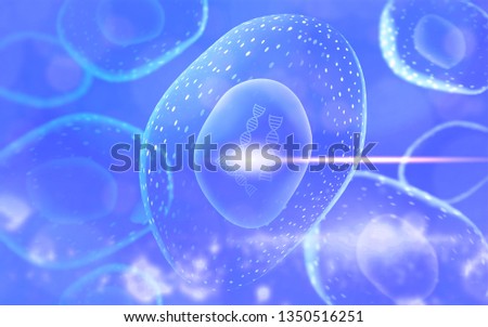 Cells under microscope
