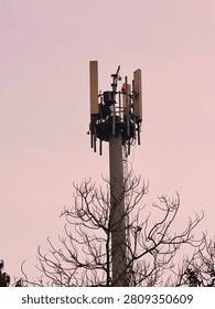 Cellular communication tower with multiple antennas mounted on a pole above leafless tree branches against a soft evening sky, representing wireless connectivity, telecommunications, and mobile network infrastructure.