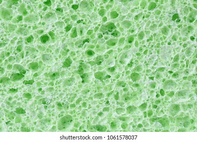 Cellulose Sponge Texture Closeup