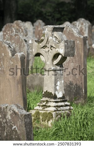 Similar – Image, Stock Photo final journey Cemetery