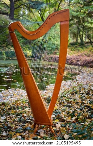 Celtic Harp, vertical shot with autumn park in the background