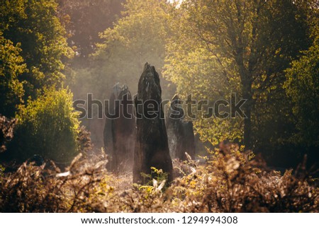 Celtic menhirs in primitive French mystic forest