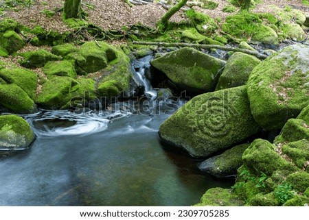 Celtic Spiral on mossy rock at Cloghleagh, County Wicklow