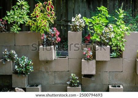 Cement cinder blocks make a unique stair step plant display. A variety of plants fill in the blocks creating an eye appealing rustic nature scene with defocused wooden planks in the background.