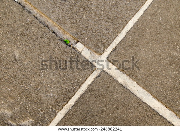 Cement Floor Stock Photo (Edit Now) 246882241