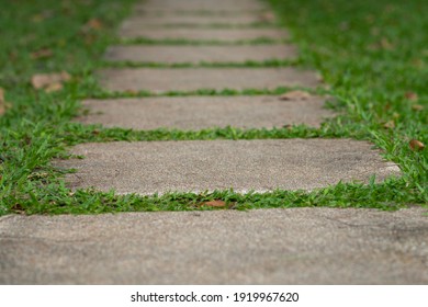 Cement footpath on a green grass in the park.
