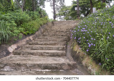 Cement stairs in the park