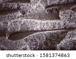 Cement texture for background. Abstract shape for artwork design.Have space for copy text.