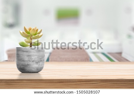 Cement Vase with Suculent on vase pot on table in living room