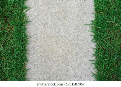 Cement Walk Way With Green Grass On Side