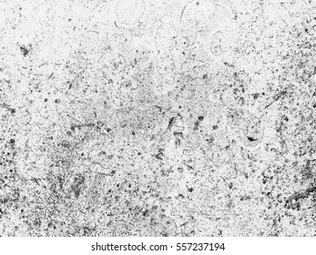 cement wall background. 