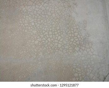 are cement wall with crazing pattern 