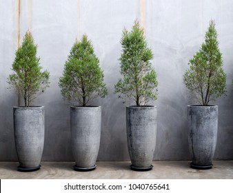 18,435 Cement pots Images, Stock Photos & Vectors | Shutterstock