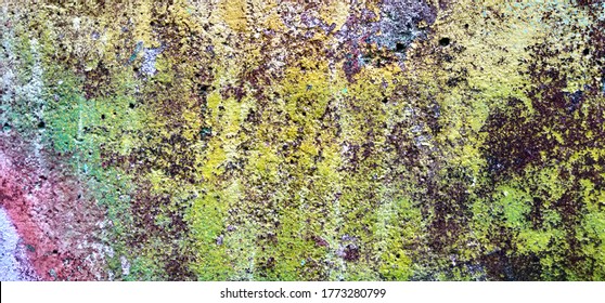 Cement wall. Vantage background image