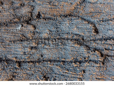 Cement walls form a certain pattern, strong and sturdy beyond compare.