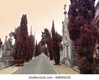 Cementery Path Passing Life Concept