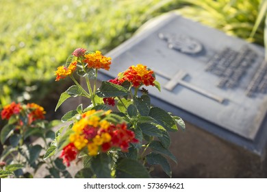 Cemetery With Flowers
