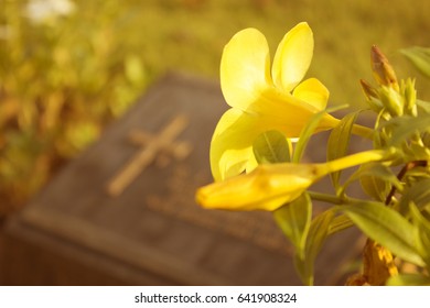 Cemetery Flowers With Gravestone In The Graveyard With Vintage Design