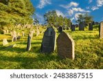 Cemetery with graves and tombstones. Abandoned grave. Gravestone on graveyard in forest. Old tombstone in old Jewish Cemetery. Tombstones on graveyard. Funeral concept.  