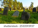 Cemetery with graves and tombstones. Abandoned grave. Gravestone on graveyard in forest. Old tombstone in old Jewish Cemetery. Tombstones on graveyard. Funeral concept.  