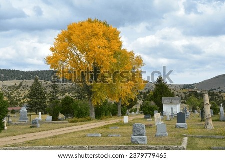 Cemetery in Idaho at fall