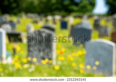 A cemetery image in soft focus throughout. Headstones and yellow and red flowers fill the frame. Discrete, soft image depicting a final resting place.