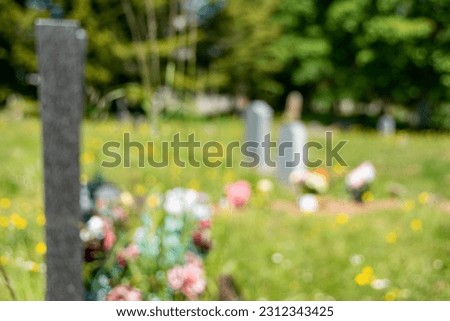 A cemetery image in soft focus throughout. Headstones and flowers fill the frame. Discrete, soft image depicting a final resting place.