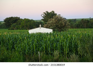cemetery in the middle of cornfields