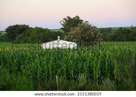 cemetery in the middle of cornfields
