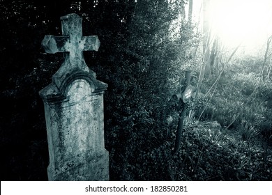 Cemetery Night