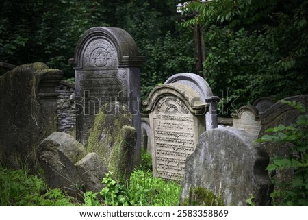 Cemetry, friedhof, headstone, stone, nature, jewish, 