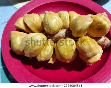 Cempedak, a tropical fruit with a strong aroma and sweet taste, features coarse skin adorned with fine thornsIts thick, yellow flesh is commonly enjoyed fresh or as a delightful deep-fried treat