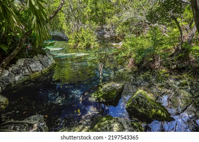 Cenote Azul natural wonder in Mexico