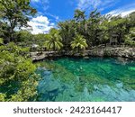 Cenote Casa Tortuga, caves and pools near Tulum and Playa Del Carmen. Mexico tourism destination.