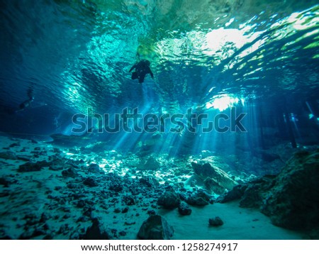 Cenote diving in Cancun, Mexico 