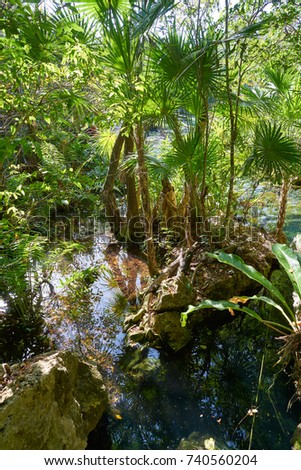 Cenote Riviera Maya Mayan Mexico Sinkhole Stock Photo Edit