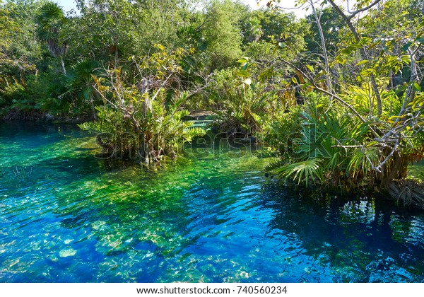 Cenote Riviera Maya Mayan Mexico Sinkhole Stock Photo Edit