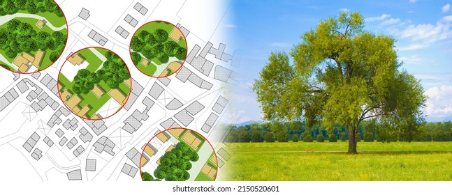 Census of trees in cities -  green management and tree mapping concept with imaginary city map with highlighted trees  - Powered by Shutterstock