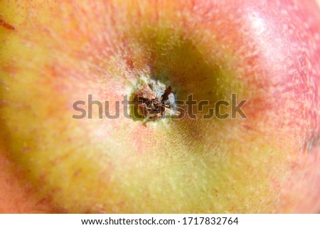 Foto Bild Apfel Farbfoto rund rot