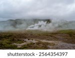 In the center of the frame is a geyser releasing air a column of vapor that dissolves in gray sky.sulfurous sediment turns the soil yellow and orange colors, rare plants add contrasting green spots.