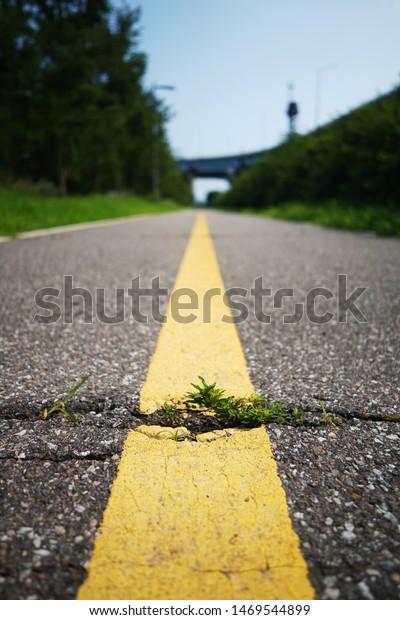 Center line of road without
car