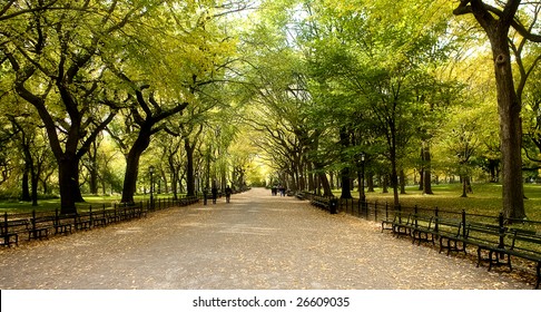  Center Park NY . Beautiful park in beautiful city. - Shutterstock ID 26609035
