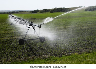 Center Pivot Irrigation Of Crops.